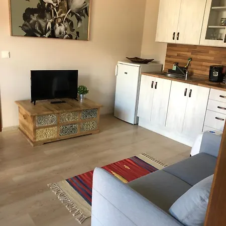 Dum Pod Radnici Studia Apartment Zamberk Exterior photo