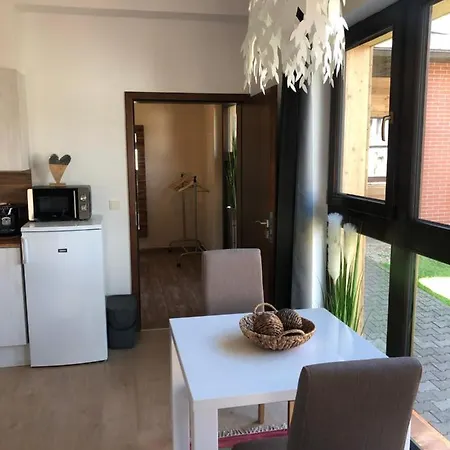 Dum Pod Radnici Studia Apartment Zamberk Exterior photo
