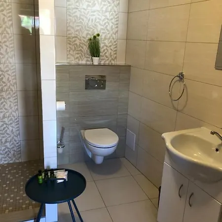Dum Pod Radnici Studia Apartment Zamberk Exterior photo