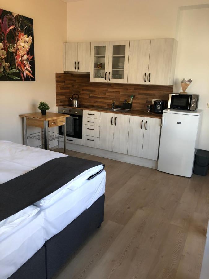 Apartment Dum Pod Radnici Studia Zamberk