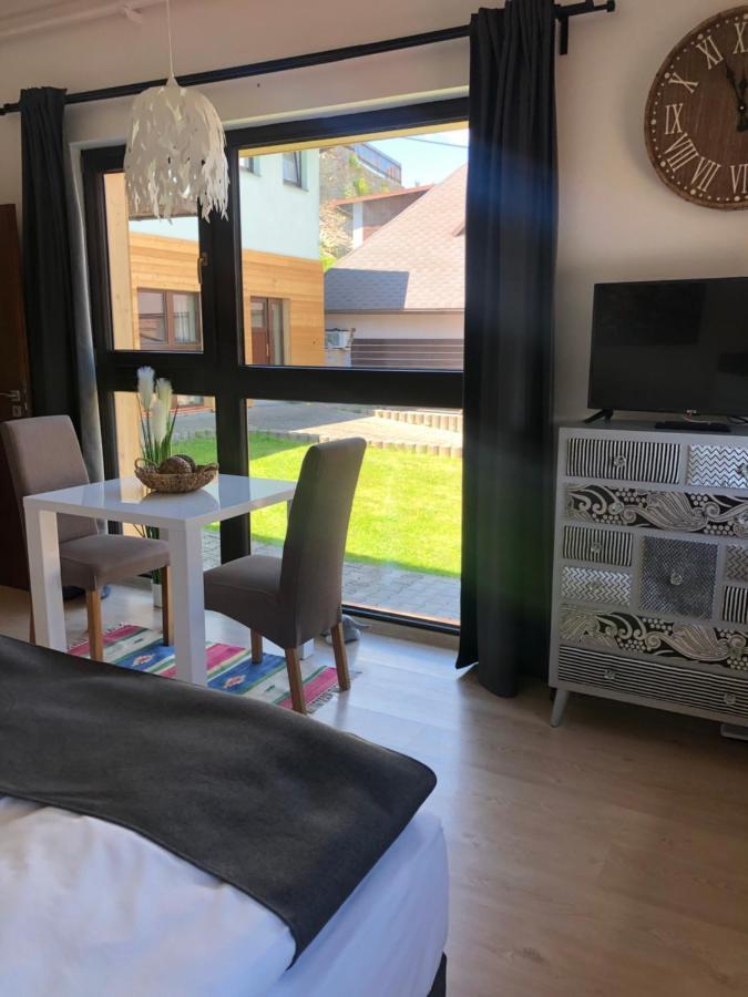 Apartment Dum Pod Radnici Studia Žamberk